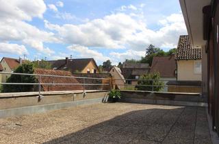 Wohnung mieten in Brunnengasse 14, 74388 Talheim, Sonnige XXL-Terrassenwohnung im Land Heilbronn (provisionsfrei)