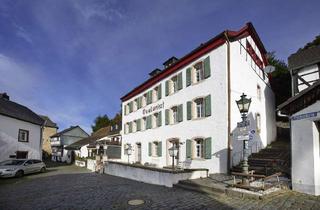 Haus kaufen in 53945 Blankenheim, Quellenhof-Historisches Juwel in Blankenheim mit vier Ferienwohnungen