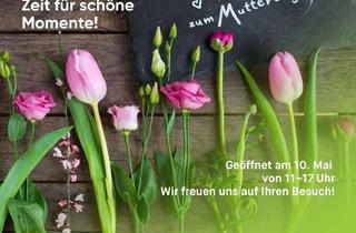 Haus kaufen in 55758 Sensweiler, Bauen mit massa haus - einfach zum Traumhaus - LifeStyle 14.04W