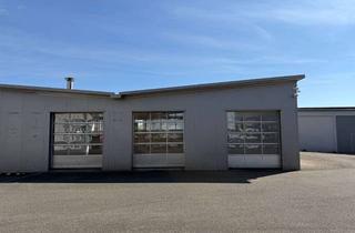 Gewerbeimmobilie mieten in Hainbachstr. 84, 76829 Landau, ++ Halle mit 3 Sektionaltoren ca. 132 m² Nfl. in verkehrsgünstiger Lage in Landau ! ++