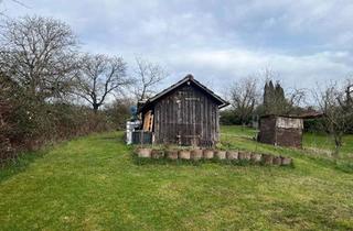 Grundstück zu kaufen in 48.889878,9. 353725, 71409 Schwaikheim, Freizeitgarten in Schwaikheim - 760 qm Grill & Familienspaß