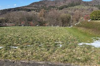 Grundstück zu kaufen in 72459 Albstadt, Baugrundstück in Top Lage