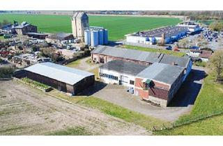 Gewerbeimmobilie kaufen in 31241 Ilsede, HALLENKOMPLEX MIT FREIFLÄCHEN UND WIESE