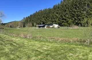 Immobilie kaufen in 54552 Beinhausen, Großzügiges Baugrundstück mit angrenzender Wiesenfläche in ruhiger, naturnaher Wohnlage