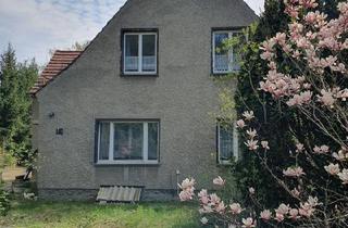 Haus kaufen in 04910 Elsterwerda, Elsterwerda - Großes WohnGewerbegrundstück, viel Grün, sehr ruhige Lage