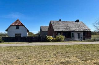 Einfamilienhaus kaufen in 39615 Seehausen, Seehausen (Altmark) - Riesiges Grundstück mit Haus & 3 Nebengebäuden in Fast?Alleinlage