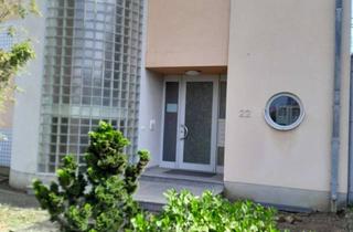 Wohnung mieten in Rüdigerstrasse 22, 68623 Lampertheim, Souterrain-Wohnung für Single in ruhiger Lage in Lampertheim-Rosengarten