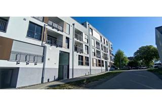 Wohnung mieten in Neuerbstraße 43, 96052 Bamberg, Neuwertige 3-Zimmer-Wohnung mit Terrasse, Garten & gehobener Ausstattung in Bamberg
