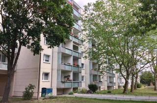 Wohnung mieten in Stübelallee 21, 01309 Striesen-Süd, 2 Zimmerwohnung mit Balkon am Großen Garten