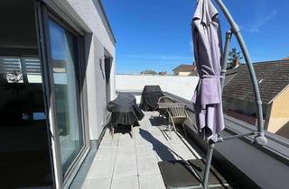 Penthouse mieten in 55130 Weisenau, Mainz Weisenau: Modernes Penthouse, 2 Zimmer, Dachterrasse, Gäste-WC, EBK, Stellplatz inkl.