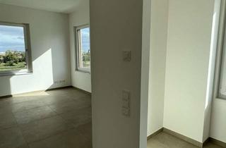 Wohnung mieten in Paul-Von-Denis-Str. 2a, 76829 Landau, Exklusive Penthauswohnung im Quartier No. 33, Landau