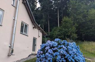 Lofts mieten in 74924 Neckarbischofsheim, Grosszügige Loftwohnung - mit Gartenanteil