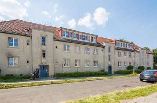 Wohnung mieten in Hohenbornweg, 12249 Lankwitz, Hochparterre, neues Duschbad, frisch renoviert!