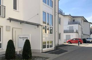 Wohnung mieten in Paradiesweg 17, 89407 Dillingen, große 3-Zimmerwohnung mit Terrasse & Garten