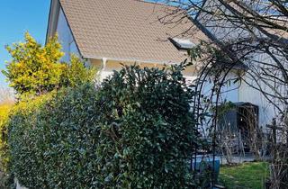 Doppelhaushälfte kaufen in 74360 Ilsfeld, Doppelhaushälfte in Ilsfeld