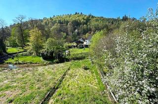 Haus kaufen in 66999 Hinterweidenthal, Preiswertes Haus im Pfälzerwald mit Entwicklungspotenzial – ideal zum Wohnen, Arbeiten und Vermieten