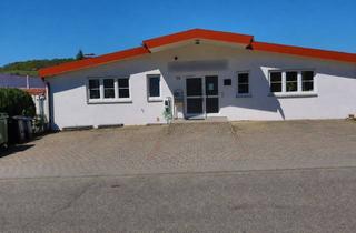 Büro zu mieten in Daimlerstraße 19, 75433 Maulbronn, Funktionale Produktionshalle mit Büros in Maulbronn: Effizient nutzbar