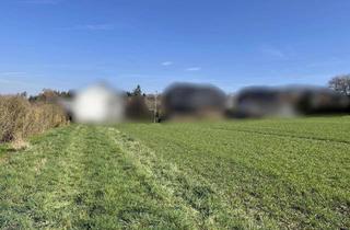 Grundstück zu kaufen in 56291 Hausbay, Baugrundstück mit angrenzendem Grünland