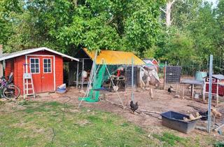 Grundstück zu kaufen in 67549 Leiselheim, 1.000 m² Freizeitgrundstück mit Brunnen, Obstbäumen & Tierhaltung