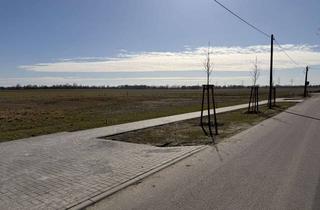 Grundstück zu kaufen in Ringstraße, 16356 Werneuchen, letztes Grundstück, direkt am Feldrand,-Provisionsfrei und ohne Bauträger, Krummensee (Werneuchen)