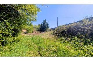 Grundstück zu kaufen in 73463 Westhausen, Sonniges Grundstück in 73463 Westhausen