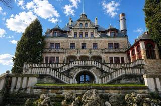 Gewerbeimmobilie kaufen in 37276 Meinhard, Monumentales Schloss – perfekt für Luxury Senior Living