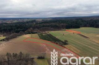 Gewerbeimmobilie kaufen in 74864 Fahrenbach, Acker- und Grünland in ruhiger Lage von Fahrenbach (ca. 1,5 ha) zw. Heidelberg und Würzburg