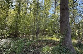 Gewerbeimmobilie kaufen in 25469 Halstenbek, Großes Waldgrundstück in Ortsrandlage