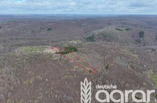 Gewerbeimmobilie kaufen in 06526 Sangerhausen, Wald und Aufforstungsfläche (ca. 1,5 ha) bei Sangerhausen