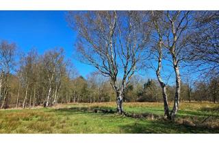 Gewerbeimmobilie kaufen in 26639 Wiesmoor, Ihr privates Stück Natur - ca. 37.000 m² Ausgleichsfläche in Wiesmoor