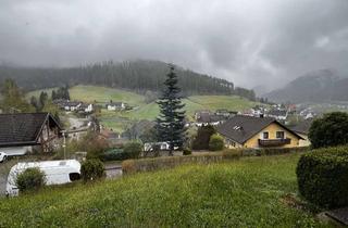 Wohnung mieten in 72270 Baiersbronn, 2,5-Zimmer-Wohnung mit traumhaften Ausblick