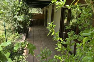 Wohnung mieten in 76275 Ettlingen, Ruhige Wohnung mit herrlicher Terrasse