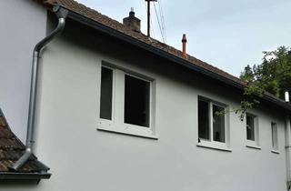 Wohnung mieten in Neustadter Str. 13, 67468 Frankenstein, Helle 2-Zimmer-Wohnung mit Balkon - ab sofort verfügbar!