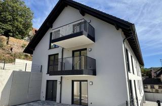 Wohnung mieten in 63820 Elsenfeld, Ihre neue Wohlfühloase im idyllischen Elsavatal !