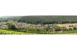 Wohnung mieten in 63820 Elsenfeld, Ihre neue Wohlfühloase im idyllischen Elsavatal !
