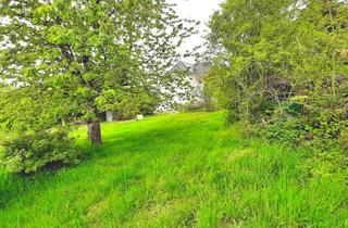 Grundstück zu kaufen in 32760 Detmold, Baugrundstück im schönen Heiligenkirchen