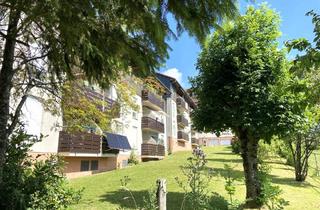 Wohnung kaufen in 75335 Dobel, Tolle Wohnung in Dobel1 Zi. App. + Küche, Bad, Diele, renov.möbliert, ca. 47,77 m², Balkon, Keller