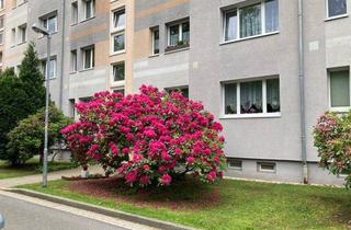 Wohnung mieten in Hermann-Danz-Straße, 07629 Hermsdorf, Hübsche Wohnung in ruhiger Seitenstraße