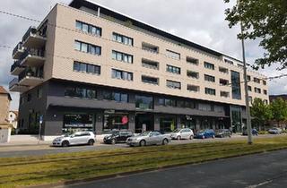 Wohnung kaufen in 38122 Braunschweig, Braunschweig - 3 Zimmer Eigentumswohnung 91m2 (verm.) + PKW Tiefgaragenplatz