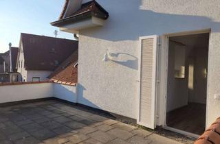 Lofts mieten in Bahnhofstraße, 73207 Plochingen, kernsanierte Zwei Zimmer Wohnung mit großer Dachterrasse - Loftstyle