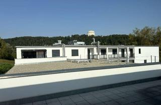 Penthouse mieten in Donaupark 20c, 93309 Kelheim, Ab 1.8.26 Geschmackvolle, 3-Raum-Penthouse-Wohnung mit geh. Innenausstattung mit Terrasse und EBK
