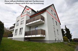 Wohnung mieten in 09228 Wittgensdorf, °°° Eine großzügige und helle 2 Raum mit Dachterrasse wartet auf Sie!°°°°