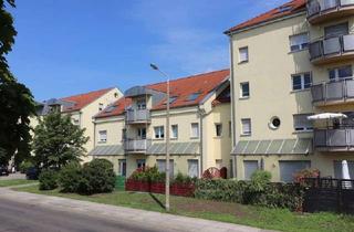 Wohnung mieten in 03050 Sachsendorf, Mein neues Zuhause - Terrasse, Einbauküche, Tiefgarage!