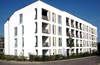 Wohnung mieten in Niederfeldstraße 75, 34128 Harleshausen, Lichtdurchflutetes Appartement mit Balkon in Harleshausen