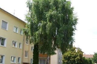 Wohnung mieten in Schlesierstraße, 73732 Esslingen, Gemütliche 2-Zimmer Wohnung mit Balkon in Hohenkreuz