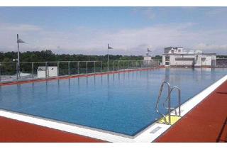 Wohnung mieten in Putbuser Weg 14, 01109 Klotzsche, Fast wie Urlaub - 2Raum mit Balkon + herrlichem Pool