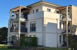 Wohnung mieten in Reicker Straße 25d, 01219 Strehlen, Ab 01.07.26 - 3 Zimmer mit Terrasse am Großen Garten * EBK gg Ablöse