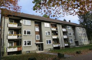Wohnung mieten in Vorm Holzschlinge, 32049 Herford, WWS - schöne 3-Raum Wohnung mit Balkon zu sofort
