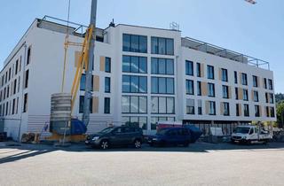 Wohnung mieten in 76327 Pfinztal, Moderne 2-Zi-Whg. inkl. EBK in Pfinztal-Berghausen
