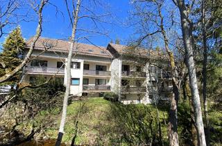 Wohnung mieten in Karl-Röhrig-Str. 1a, 38700 Braunlage, Ideal als kleine Fewo: aufwendig renovierte, komplett möblierte 1-Zimmer Wohnung mit Terrasse